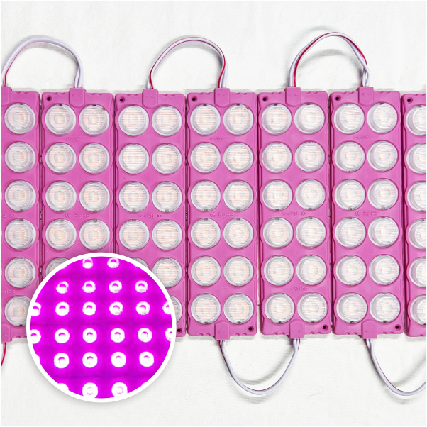 MODULO 12LED 13CM 12 WATTS 24V DC ROSADO