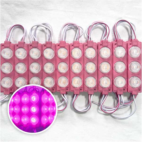 MODULO 3LED 7CM 3 WATTS 12V DC ROSADO