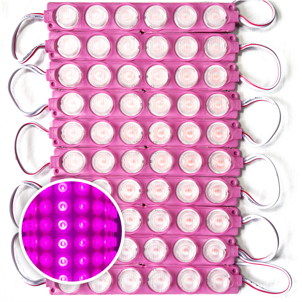 MODULO 6LED 13CM 6 WATTS 24V DC ROSADO
