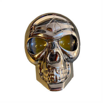 EXPLORADORA CALAVERA PLATEADA 2LED BLANCOAMARILLO ALTABAJA 9-36V 30W