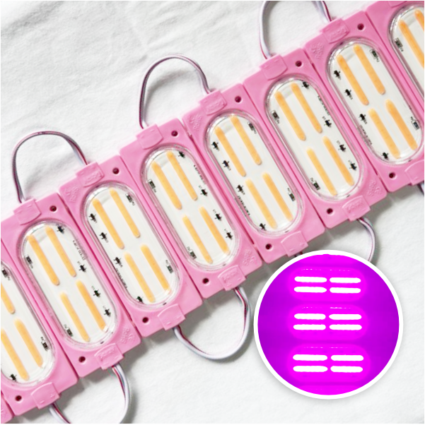 MODULO LED COB FIJO+FLASH 12V ROSADO